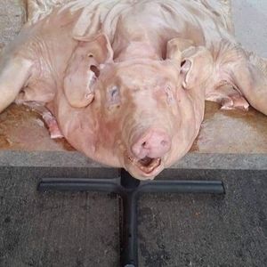 Meet your Posher, Guillermo